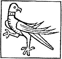 falcon woodcut