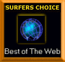 Best of the Web Surfer's Choice Award